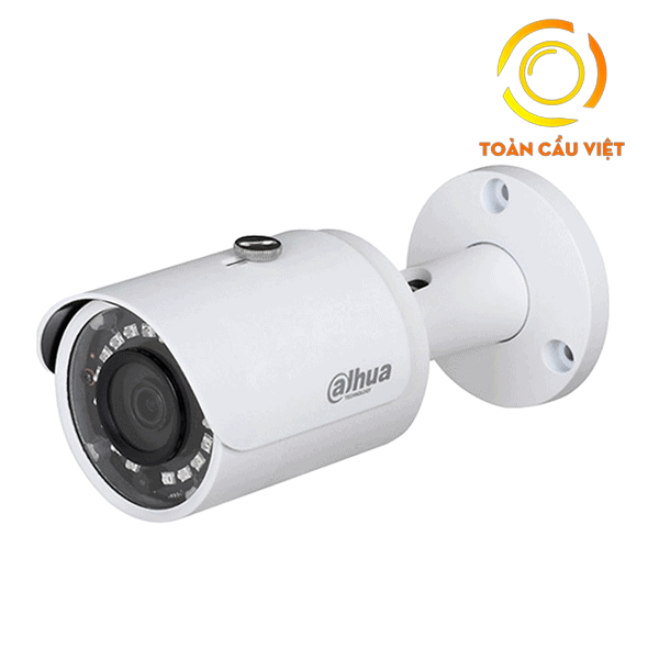 DH-IPC-HFW1230SP-S4