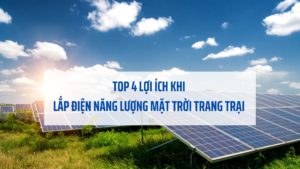 Top 4 lợi ích khi lắp điện năng lượng mặt trời trang trại