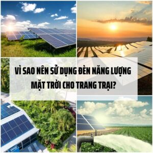 Vì sao nên sử dụng đèn năng lượng mặt trời cho trang trại?