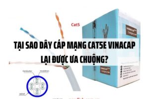Tại sao dây cáp mạng CAT5E Vinacap lại được ưa chuộng?