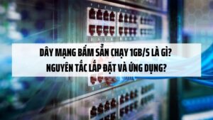 Dây mạng bấm sẳn chạy 1Gb/s là gì? Nguyên tắc lắp đặt và ứng dụng?