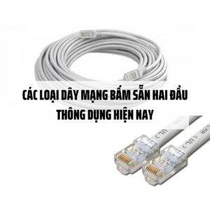 Các loại dây mạng bấm sẵn hai đầu thông dụng hiện nay