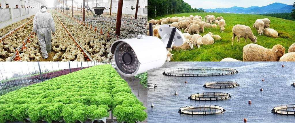 Lắp đặt camera quan sát nhà vườn