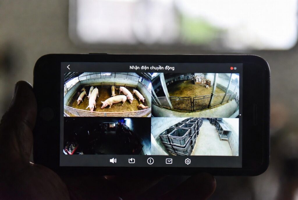 camera chuồng trại chăn nuôi